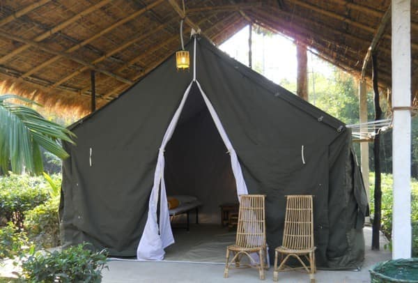 Nature-Hunt Eco Camp, Kaziranga 5